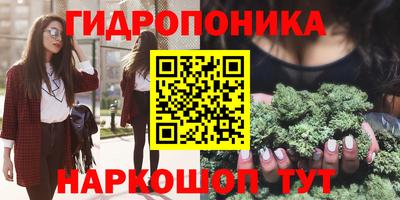 молекула духа Брянск