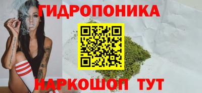 дмт Братск