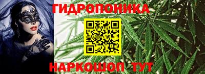 дмт Братск