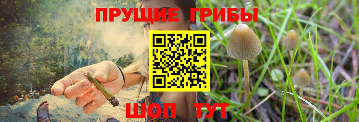 Псилоцибиновые грибы ЛСД  Вход с VPN  Бор 